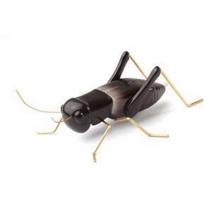 Fauna Cricket