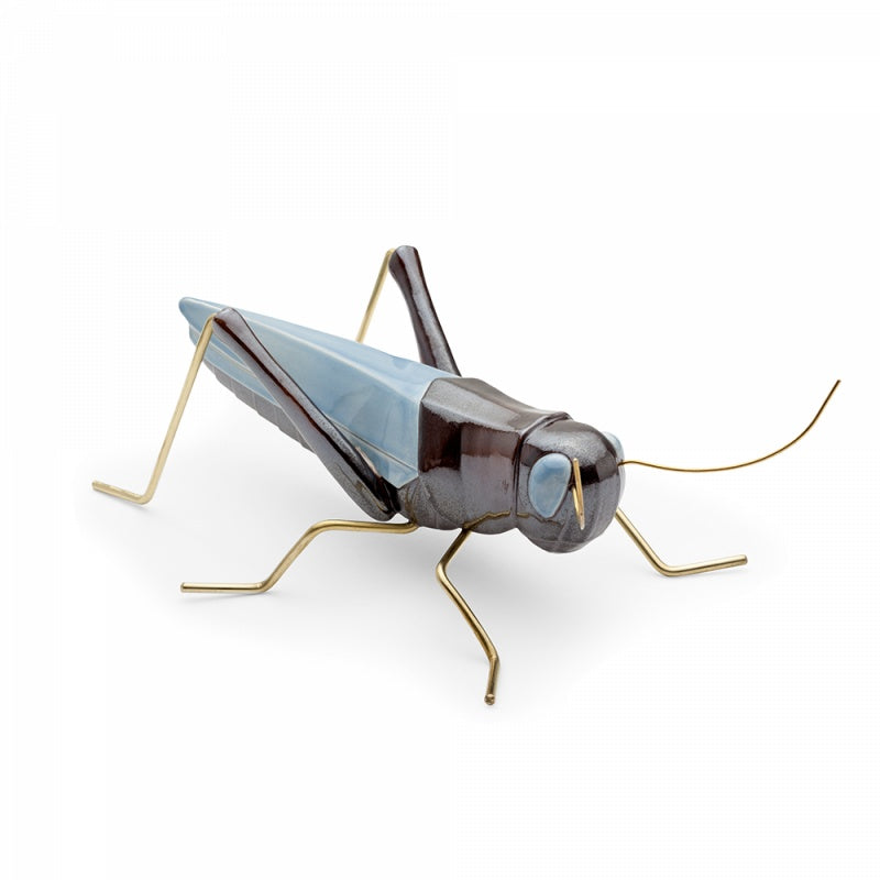 Fauna Grasshopper