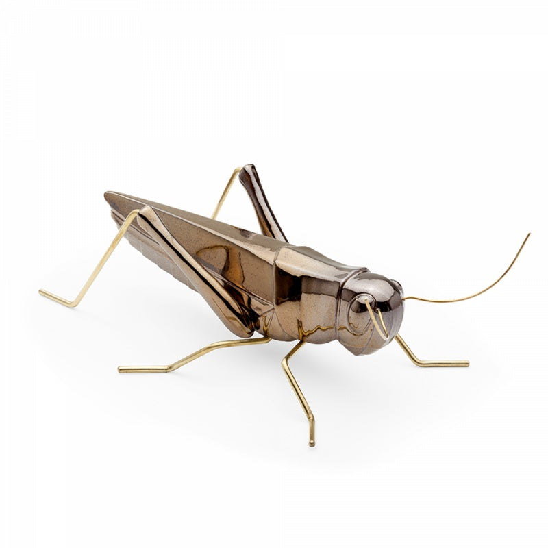Fauna Grasshopper