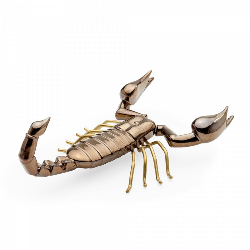 Fauna Scorpion