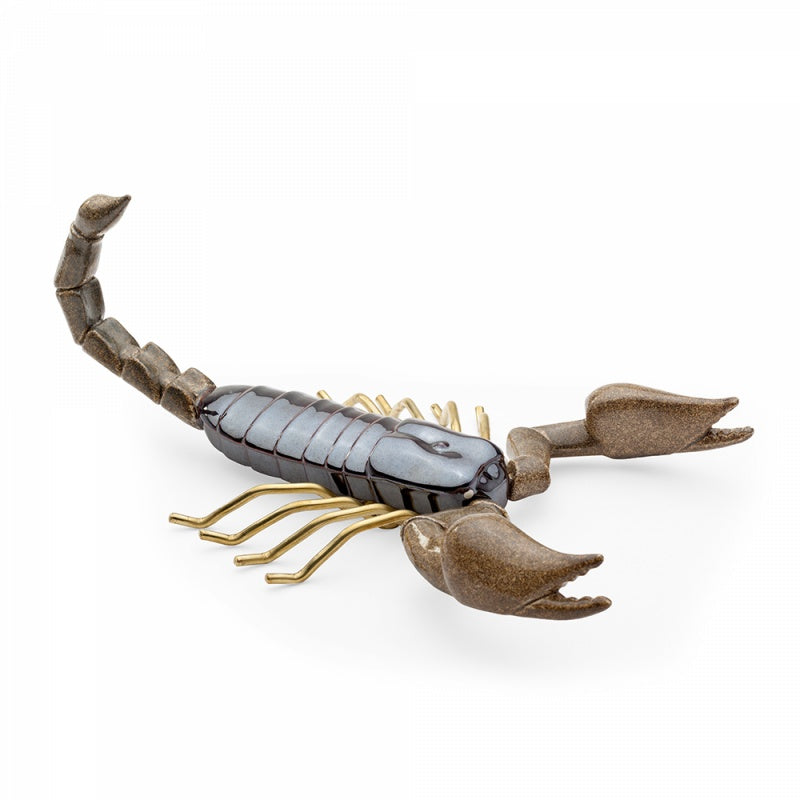 Fauna Scorpion