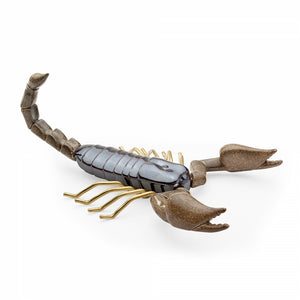 Fauna Scorpion